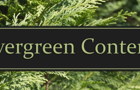 Evergreen-Content